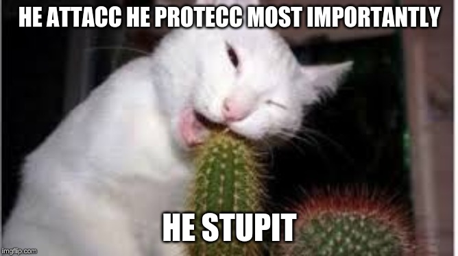 HE ATTACC HE PROTECC MOST IMPORTANTLY; HE STUPIT | image tagged in dumb people | made w/ Imgflip meme maker
