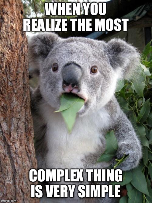 Surprised Koala Meme | WHEN YOU REALIZE THE MOST; COMPLEX THING IS VERY SIMPLE | image tagged in memes,surprised koala | made w/ Imgflip meme maker