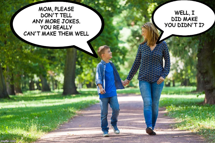 Ouch Mom | WELL, I DID MAKE YOU DIDN'T I? MOM, PLEASE DON'T TELL ANY MORE JOKES. YOU REALLY CAN'T MAKE THEM WELL | image tagged in mom and son walking | made w/ Imgflip meme maker