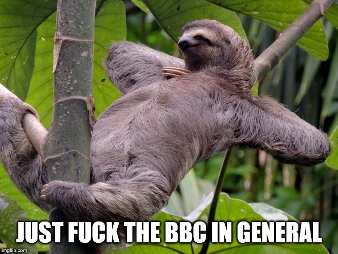 Lazy Sloth | JUST F**K THE BBC IN GENERAL | image tagged in lazy sloth | made w/ Imgflip meme maker
