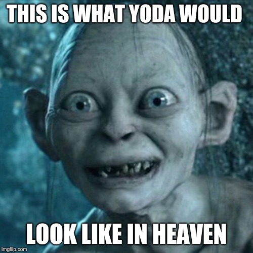 Gollum | THIS IS WHAT YODA WOULD; LOOK LIKE IN HEAVEN | image tagged in memes,gollum | made w/ Imgflip meme maker