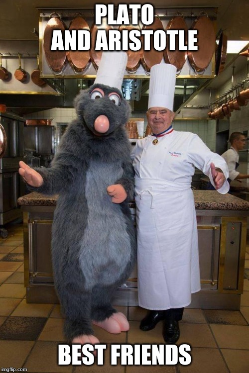 Ratatouille | PLATO AND ARISTOTLE; BEST FRIENDS | image tagged in ratatouille | made w/ Imgflip meme maker