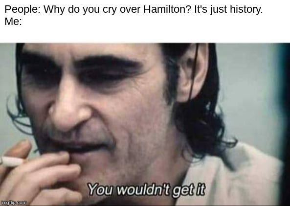 You wouldn't get it | People: Why do you cry over Hamilton? It's just history.
Me: | image tagged in you wouldn't get it | made w/ Imgflip meme maker