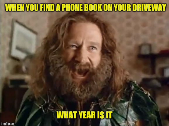 What Year Is It Meme | WHEN YOU FIND A PHONE BOOK ON YOUR DRIVEWAY; WHAT YEAR IS IT | image tagged in memes,what year is it | made w/ Imgflip meme maker
