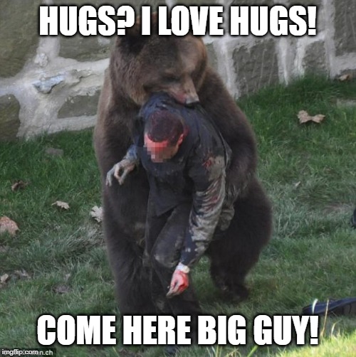 bear hug | HUGS? I LOVE HUGS! COME HERE BIG GUY! | image tagged in bear hug | made w/ Imgflip meme maker