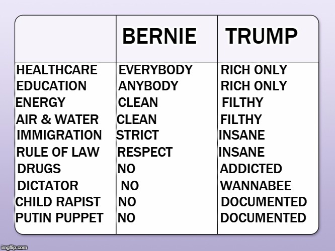 And that's why Bernie's ahead of Trump in the polls. | BERNIE     TRUMP; HEALTHCARE      EVERYBODY        RICH ONLY; EDUCATION         ANYBODY            RICH ONLY; ENERGY               CLEAN                  FILTHY; AIR & WATER     CLEAN                  FILTHY; IMMIGRATION    STRICT                 INSANE; RULE OF LAW     RESPECT             INSANE; DRUGS                NO                        ADDICTED; DICTATOR            NO                       WANNABEE; CHILD RAPIST     NO                        DOCUMENTED; PUTIN PUPPET    NO                        DOCUMENTED | image tagged in bernie sanders,trump,healthcare,education,energy,environment | made w/ Imgflip meme maker