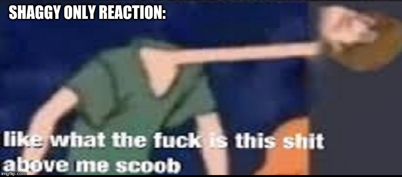 Like what the fuck is this shit above me scoob | SHAGGY ONLY REACTION: | image tagged in like what the fuck is this shit above me scoob | made w/ Imgflip meme maker
