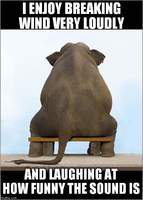 A Happy Farting Elephant | I ENJOY BREAKING WIND VERY LOUDLY; AND LAUGHING AT HOW FUNNY THE SOUND IS | image tagged in fun,elephants,fart joke | made w/ Imgflip meme maker
