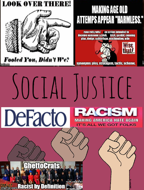 Social Justice de Facto Racism | image tagged in ruse,hoax,false narrative,racism isn't bigotry,trump | made w/ Imgflip meme maker