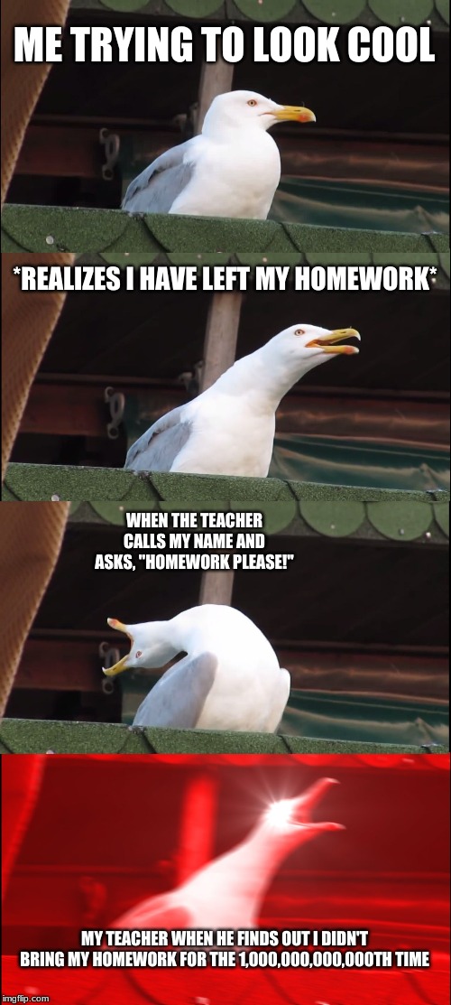 Inhaling Seagull | ME TRYING TO LOOK COOL; *REALIZES I HAVE LEFT MY HOMEWORK*; WHEN THE TEACHER CALLS MY NAME AND ASKS, "HOMEWORK PLEASE!"; MY TEACHER WHEN HE FINDS OUT I DIDN'T BRING MY HOMEWORK FOR THE 1,000,000,000,000TH TIME | image tagged in memes,inhaling seagull | made w/ Imgflip meme maker