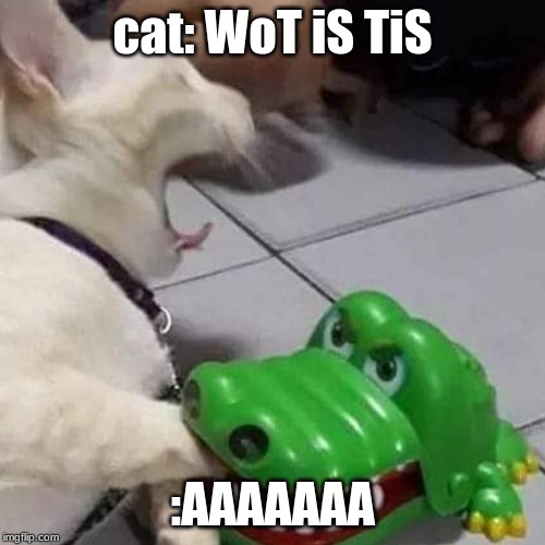 Dentist gone wrong | cat: WoT iS TiS; :AAAAAAA | image tagged in cat,doctor aligator | made w/ Imgflip meme maker
