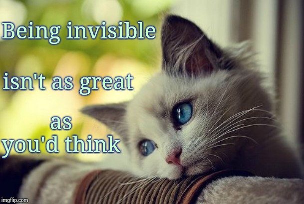 Nope, Nope, Nope | Being invisible; isn't as great; as you'd think | image tagged in memes,first world problems cat,invisible | made w/ Imgflip meme maker