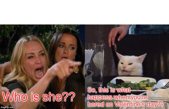 Woman Yelling At Cat Meme | So, this is what happens when you're bored on Valentine's day?? Who is she?? | image tagged in memes,woman yelling at cat | made w/ Imgflip meme maker