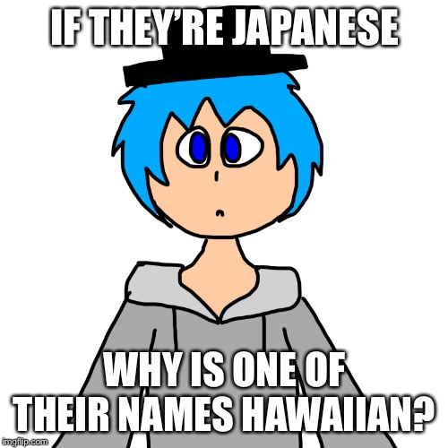 IF THEY’RE JAPANESE WHY IS ONE OF THEIR NAMES HAWAIIAN? | image tagged in human luno 5 | made w/ Imgflip meme maker