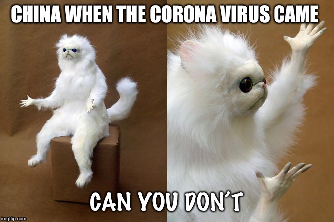 Persian Cat Room Guardian Meme | CHINA WHEN THE CORONA VIRUS CAME; CAN YOU DON’T | image tagged in memes,persian cat room guardian | made w/ Imgflip meme maker