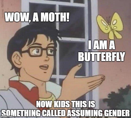 Is This A Pigeon | WOW, A MOTH! I AM A BUTTERFLY; NOW KIDS THIS IS SOMETHING CALLED ASSUMING GENDER | image tagged in memes,is this a pigeon | made w/ Imgflip meme maker