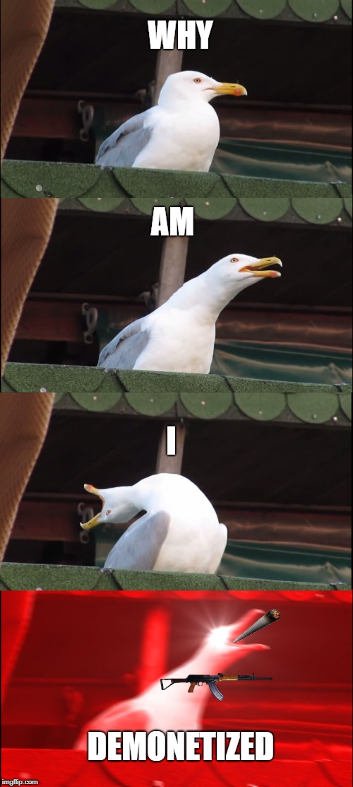 Inhaling Seagull | WHY; AM; I; DEMONETIZED | image tagged in memes,inhaling seagull | made w/ Imgflip meme maker