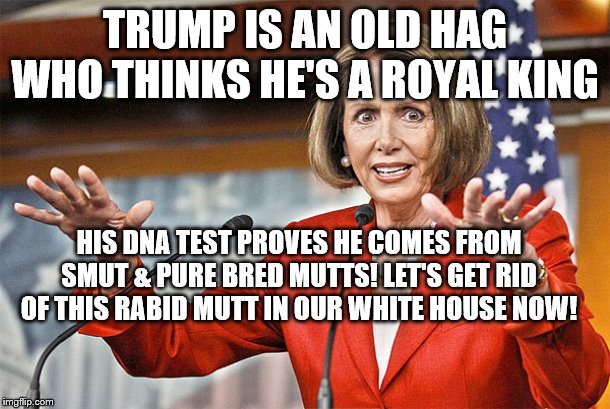 Nancy Pelosi is crazy | TRUMP IS AN OLD HAG WHO THINKS HE'S A ROYAL KING; HIS DNA TEST PROVES HE COMES FROM SMUT & PURE BRED MUTTS! LET'S GET RID OF THIS RABID MUTT IN OUR WHITE HOUSE NOW! | image tagged in nancy pelosi is crazy | made w/ Imgflip meme maker