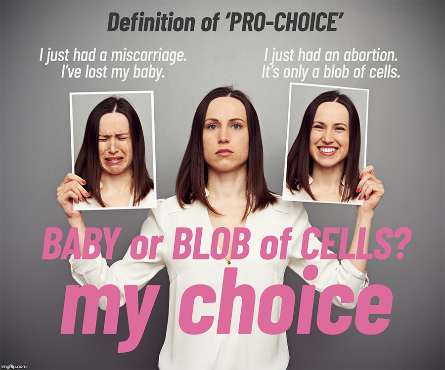 You have no choice but accept my choice of what to call 'it' | image tagged in pro-life,pro-choice | made w/ Imgflip meme maker