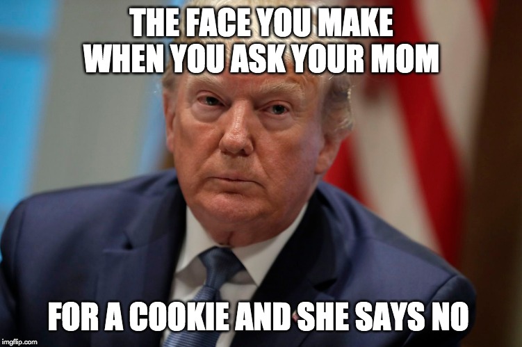 sad trump | THE FACE YOU MAKE WHEN YOU ASK YOUR MOM; FOR A COOKIE AND SHE SAYS NO | image tagged in donald trump,memes,mom,cookies,sad,nevertrump meme | made w/ Imgflip meme maker