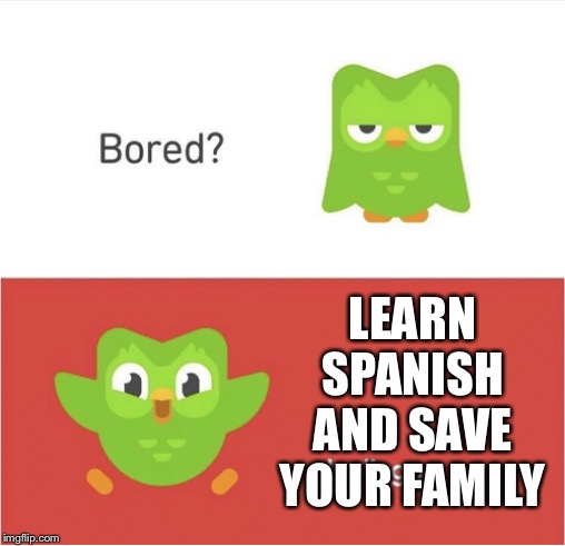 DUOLINGO BORED | LEARN SPANISH AND SAVE YOUR FAMILY | image tagged in duolingo bored | made w/ Imgflip meme maker