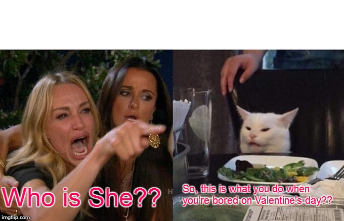 Woman Yelling At Cat Meme | So, this is what you do when you're bored on Valentine's day?? Who is She?? | image tagged in memes,woman yelling at cat | made w/ Imgflip meme maker