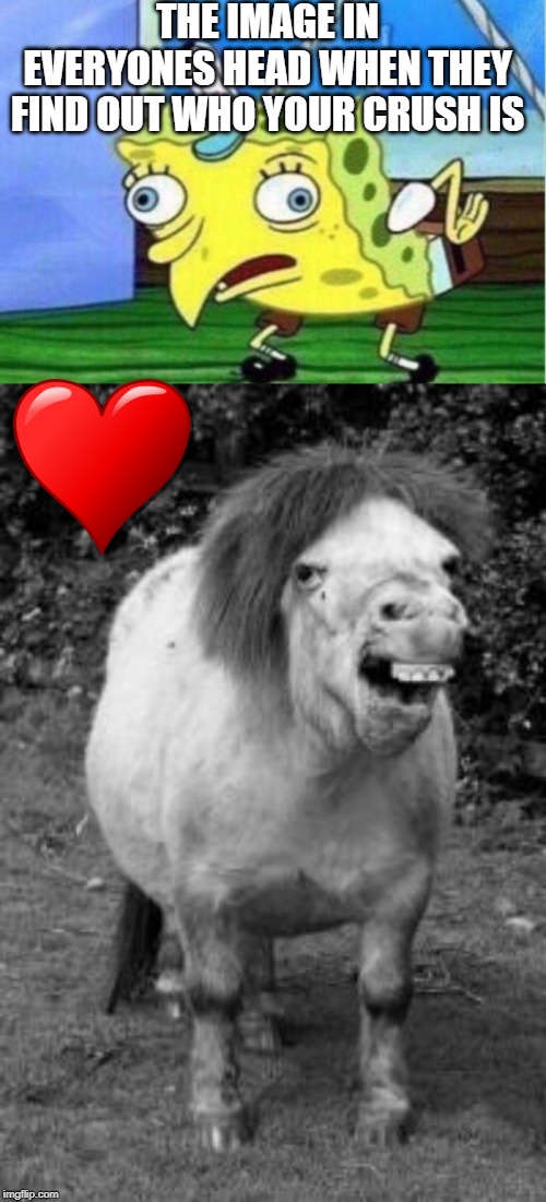 THE IMAGE IN EVERYONES HEAD WHEN THEY FIND OUT WHO YOUR CRUSH IS | image tagged in ugly horse,memes,mocking spongebob | made w/ Imgflip meme maker
