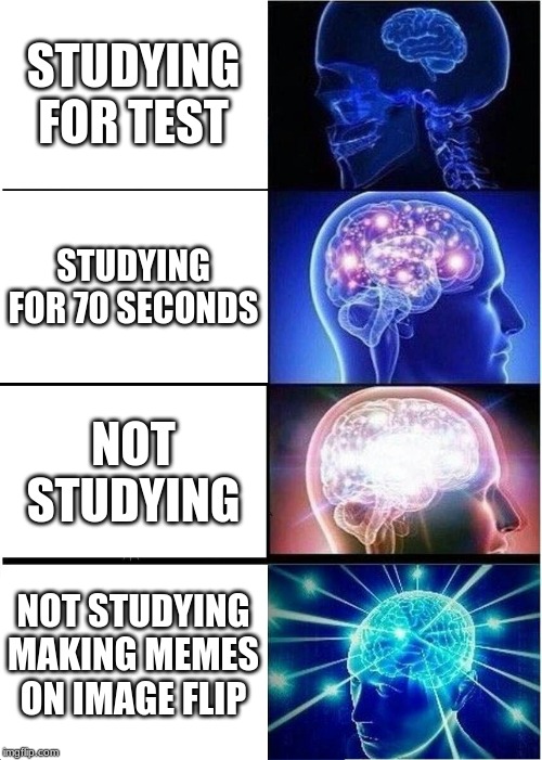 Expanding Brain | STUDYING FOR TEST; STUDYING FOR 70 SECONDS; NOT STUDYING; NOT STUDYING MAKING MEMES ON IMAGE FLIP | image tagged in memes,expanding brain | made w/ Imgflip meme maker