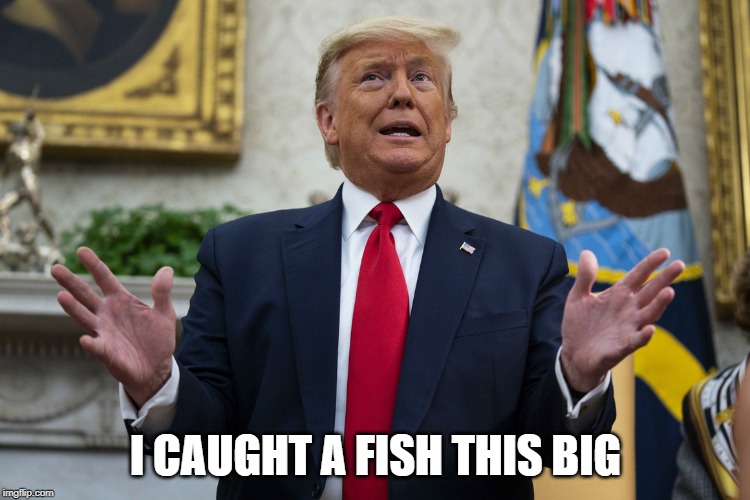 Tales of the Unexpected | I CAUGHT A FISH THIS BIG | image tagged in trump,potus,45,tall tale | made w/ Imgflip meme maker