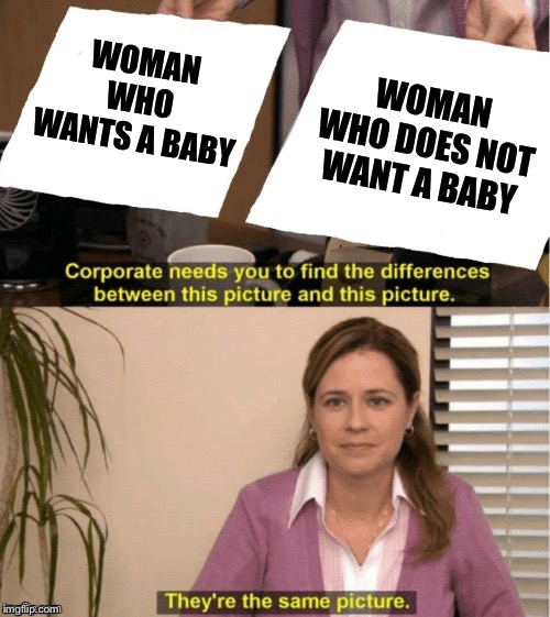 Self-explanatory depiction of the anti-choice mindset | WOMAN WHO DOES NOT WANT A BABY; WOMAN WHO WANTS A BABY | image tagged in office same picture,pro choice,abortion,abortion is murder,pro life,conservative logic | made w/ Imgflip meme maker