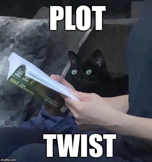 image tagged in plot twist | made w/ Imgflip meme maker