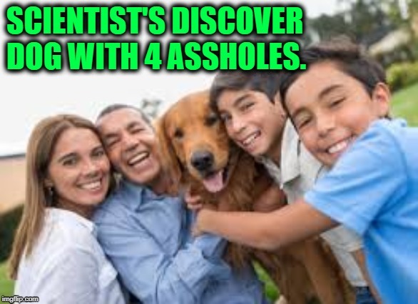 Scientist's Discover Dog With 4... | image tagged in doge | made w/ Imgflip meme maker