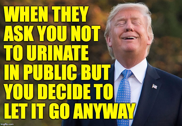 Ahhhh! | WHEN THEY
ASK YOU NOT
TO URINATE
IN PUBLIC BUT
YOU DECIDE TO
LET IT GO ANYWAY | image tagged in memes,no rules just right,peeing trump,ahhhhh | made w/ Imgflip meme maker