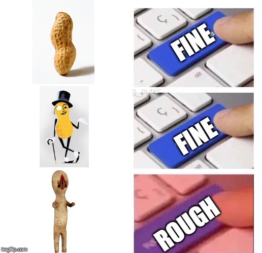 Upgrade, Upgrade, FUCK GO BACK | FINE; FINE; ROUGH | image tagged in upgrade upgrade fuck go back,upgrade go back,peanuts,scp,scp meme,mr peanut | made w/ Imgflip meme maker