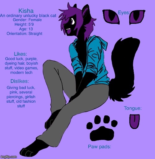 This is Kisha, my new character who represents my bad luck | image tagged in bad luck,furries,characters,cat,unnecessary tags | made w/ Imgflip meme maker