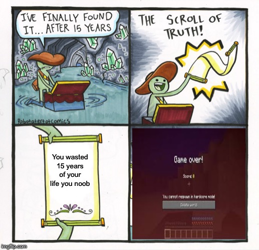 The Scroll Of Truth Meme | You wasted 15 years of your life you noob | image tagged in memes,the scroll of truth | made w/ Imgflip meme maker