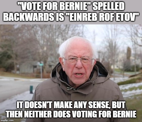 no sense Bernie | "VOTE FOR BERNIE" SPELLED BACKWARDS IS "EINREB ROF ETOV"; IT DOESN'T MAKE ANY SENSE, BUT THEN NEITHER DOES VOTING FOR BERNIE | image tagged in bernie sanders support,no sense,2020 election | made w/ Imgflip meme maker
