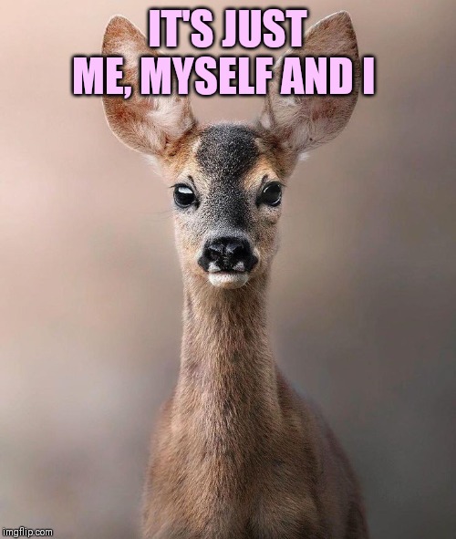 IT'S JUST ME, MYSELF AND I | made w/ Imgflip meme maker