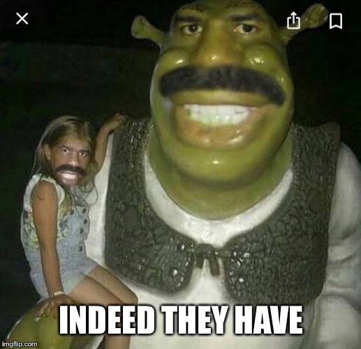 INDEED THEY HAVE | made w/ Imgflip meme maker