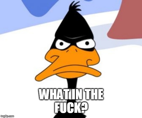 Daffy Duck not amused | WHAT IN THE
F**K? | image tagged in daffy duck not amused | made w/ Imgflip meme maker
