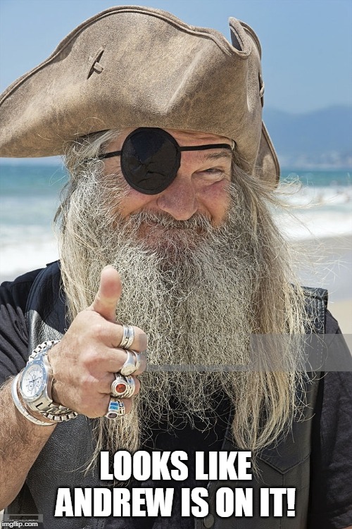 PIRATE THUMBS UP | LOOKS LIKE ANDREW IS ON IT! | image tagged in pirate thumbs up | made w/ Imgflip meme maker