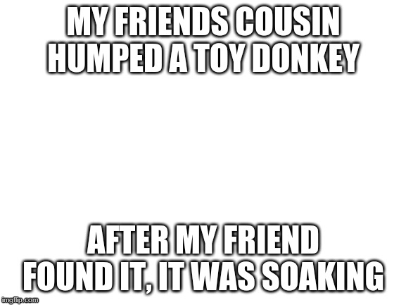 Blank White Template | MY FRIENDS COUSIN HUMPED A TOY DONKEY; AFTER MY FRIEND FOUND IT, IT WAS SOAKING | image tagged in blank white template | made w/ Imgflip meme maker