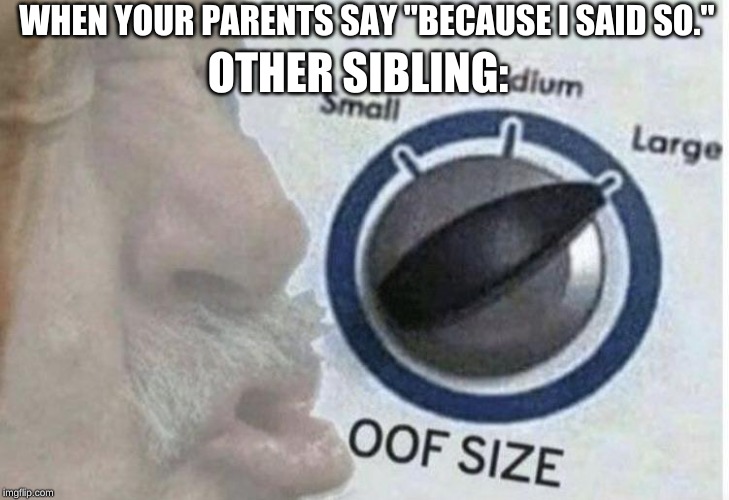 Oof size large | OTHER SIBLING:; WHEN YOUR PARENTS SAY "BECAUSE I SAID SO." | image tagged in oof size large | made w/ Imgflip meme maker