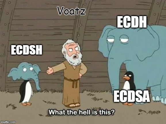 Elephant Penguin Meme | Voatz; ECDH; ECDSH; ECDSA | image tagged in elephant penguin meme | made w/ Imgflip meme maker