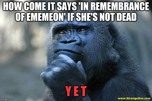 Deep Thoughts | HOW COME IT SAYS 'IN REMEMBRANCE OF EMEMEON' IF SHE'S NOT DEAD; Y E T | image tagged in deep thoughts | made w/ Imgflip meme maker