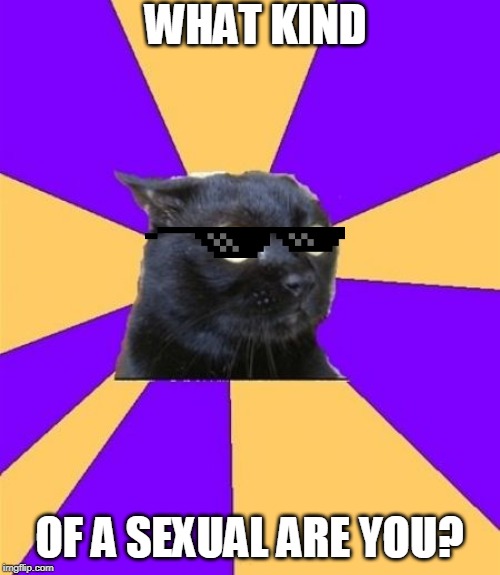 What now | WHAT KIND OF A SEXUAL ARE YOU? | image tagged in what now | made w/ Imgflip meme maker
