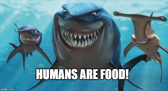 Finding Nemo Sharks | HUMANS ARE FOOD! | image tagged in finding nemo sharks | made w/ Imgflip meme maker