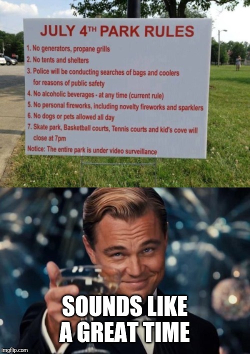 SOUNDS LIKE A GREAT TIME | image tagged in memes,leonardo dicaprio cheers | made w/ Imgflip meme maker
