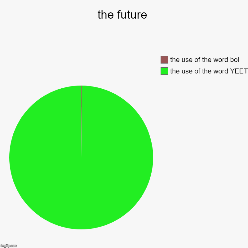 the future | the use of the word YEET, the use of the word boi | image tagged in charts,pie charts | made w/ Imgflip chart maker