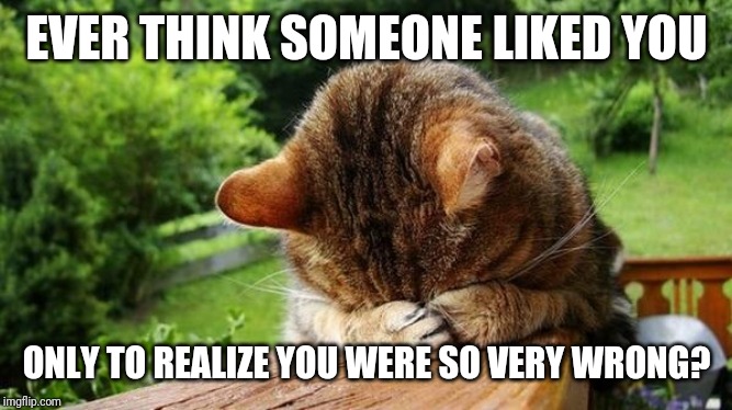 Embarrassed Cat | EVER THINK SOMEONE LIKED YOU; ONLY TO REALIZE YOU WERE SO VERY WRONG? | image tagged in embarrassed cat | made w/ Imgflip meme maker